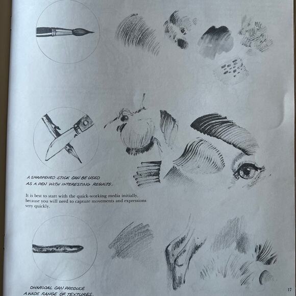 Animal Drawing Instruction Manual - Picture 6 of 11